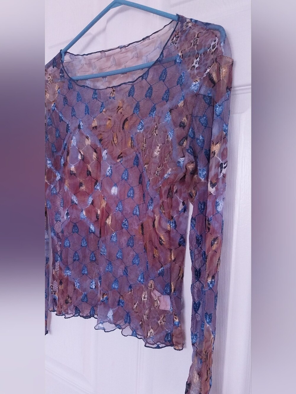 Sheer Long-Sleeve Mesh Top in Blue and Brown - Picture 5 of 9